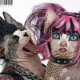 Punk Sphynx Cats