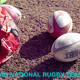 rugby 09