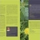 Layout / Produktion. Artikel. Markus Rothkranz