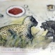 Leopard Affe