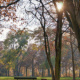 HDR Mainz Volkspark