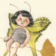Fairy Bugs