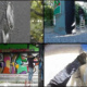 Making-of Video Graffiti