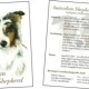 Austalian Shepherd – informative Kunstpostkarte eines Hundezüchters