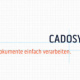 Cadosys Signet Slogan Vermassung