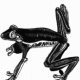 treefrog – Scraper Board, Animal Illustration;  Baumfrosch – Kratztechnik, Tierillustration
