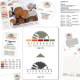 RGDW Portfolio Grafik 3+5