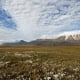 Tundra|Landschaft  :::  Spitzbergen