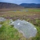 Loch Muick