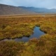 Loch Muick