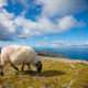 Croagh Patrick