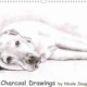 Charcoal Drawings 2014