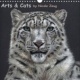 Arts & Cats 2014