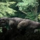 T-Rex