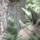 Dinosaurier