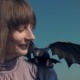 Drachen