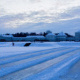 Schloß Nymphenburg im Winter