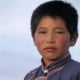 Junge, Mongolei