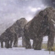 mammoth | natural history museum ljubljana
