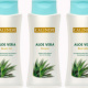 No-Label Etiketten für Pflegeserie – Aloe Vera Shower Gel, Shampoo, Body Lotion