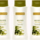 No-Label Etiketten für Pflegeserie – Olive Shower Gel, Shampoo, Body Lotion