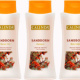 No-Label Etiketten für Pflegeserie – Sanddorn Shower Gel, Shampoo, Body Lotion