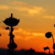 Sonnenblumenfeld beim Sonnenuntergang