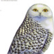 snowy-owl-final
