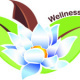 wellness_icon