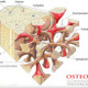 OSTEOPOROSE, Illustrationen für „Orthopädie & Unfallchirurgie“ /  2011