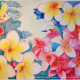 watercolor frangipani