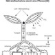 Schaubild Biologie