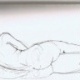 nude (life drawing)