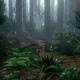RainForest (3D)
