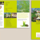 Flyer über Moringa Blattpulver