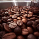 Kaffee Bohnen II