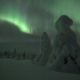 Polarlicht über den verschneiten Bäumen des Riisitunturie Nationalparks in Finnland