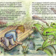 Illustration aus: Die Froschprinzessin