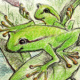 Illustration aus: Die Froschprinzessin