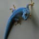 Gecko