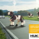 Projekt: Kampagnenidee für HUK24 • Agentur: Hello AG