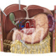 Magen,Leber und Arterien in situ