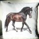 Kissen 40×40 cm „Pferd“