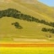 Castelluccio di Norcia