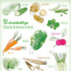 10 eisenhaltige Gemüsesorten