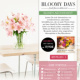 Landingpage für Geschäftskunden von Bloomy Days