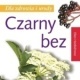 Heilpflanze Holunder polnische Ausgabe