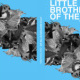 Book Cover – Little Brothers of the Air