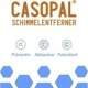 Casopal – IBZ Salzchemie GmbH