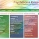 Website www.psychosoma-kinesiologie.de
